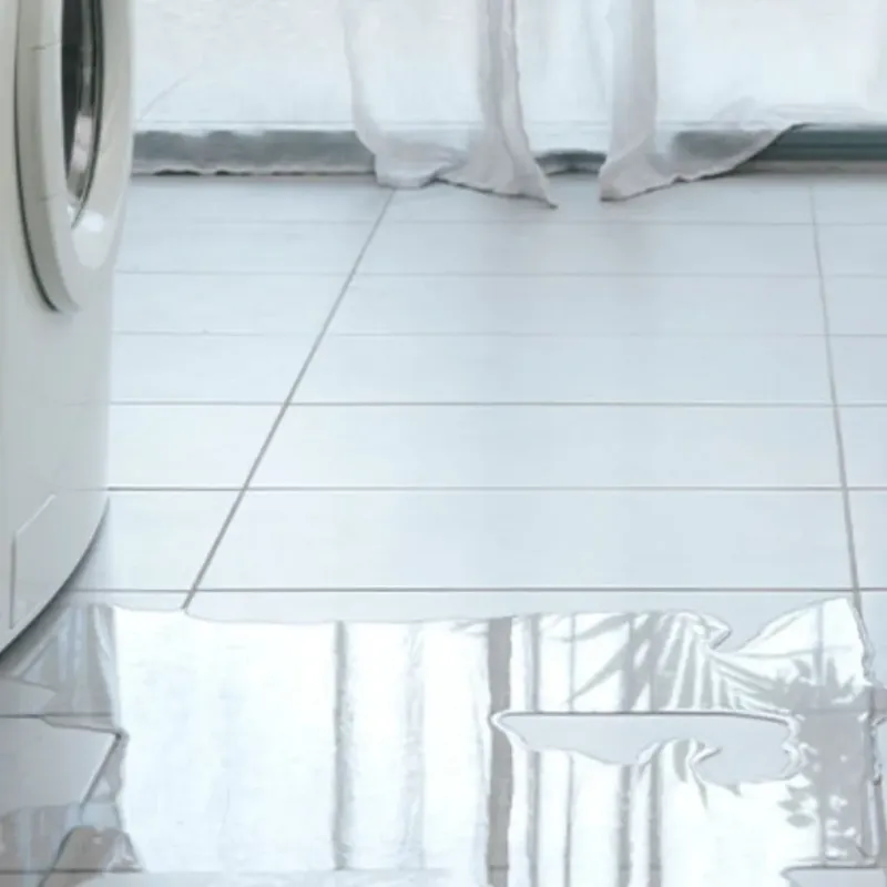 Appliance Leak Cleanup in Thibodaux, LA
